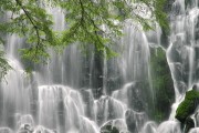 世界游艇青年赛赛事志愿者荣誉榜第二批公布，游艇锦标赛